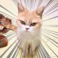 657e31295418b3dfaae7037c3b91c598c7def1cf