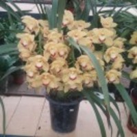 B5ac60ff4acfe453be93385fb89cbdd79e3f8140