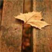 7a5c849b313d2b82c03643167d065e2c84613dc1