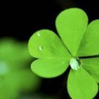 597939d8394e3a06f38b319908f8bf29b1a14156