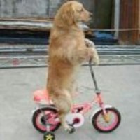 86c78f57d2dbd4a274c006e10f6068357023bd33