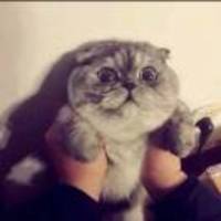 B679f5db94c871a748dd4413870206ef71833646