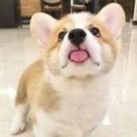 504bde64941fde53f7afcdceb01e1fcd387c7580