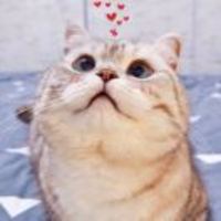 Cce8d3d151abc46818e7289530b5d1b65abaf178