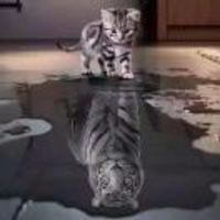 951066ba68645668f1a5d42627d1e47c37ea5fb6