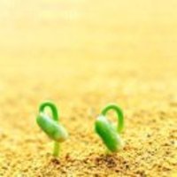 A323d34961dbe7be1c6eb1e9adaebf45e83bfcfd