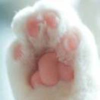 E985b4e8ee11e9c0e6cff6e7b07d5e5373805be9