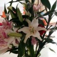 8f31def8752ad98c7f7ac2352e743ce39b948c6e