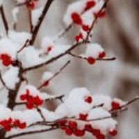 E675f9c9f41ef56a37ab0c929b7f4ac96e3bd6a7