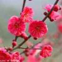 6881eb7ff80a2fbd3afce2dd6471904144fb9f4b