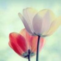 97ec50a382e666b74385684be8de9a3a766e7c44