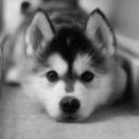 640c9a634e8213698adce3be84181a857a691c89