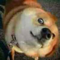 1d01d4107e3e322d299d9ddbb5307bfe674d8731