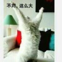 D38550f10f75c5643f66565055e9fbc11b38819b