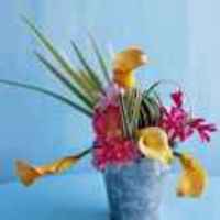 D1cd485293126d4a4542d4fef56a8a7352ff170b