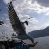 5b093c067f247bf0a2f3fb84be47970630380060