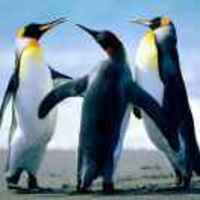 A7734d47e0c3a0120152c505166590d9e2853fd1