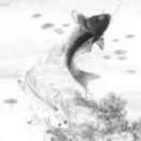 5b660f1390e6f2e3739ad51658fa9afb23f4a874