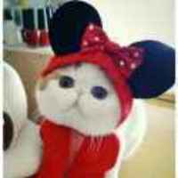 8e28f297e463f590c5cd329ed26a2dff1e2fd6d6