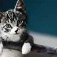 9355f57cf07856aac84010ed6625dfa44bd16c5e