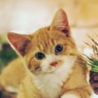 857c4d0ee62c0c899c71a94956aea7b6203ba6e7