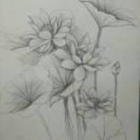 A12babed549984637c28bf27c58cb38cdb559113