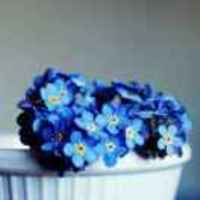 1542b4f1f5ce2a221785cd5589078cef2f5d812d