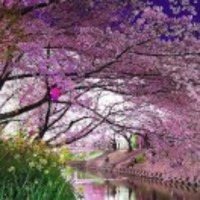 Dea62f0feb5dee98198843f51994d840fc317215