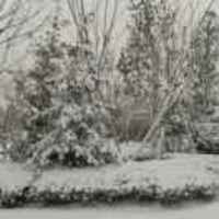 3626560bc328bffbc88860bab78f48152d2b32ba