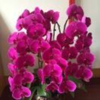 514c8e17e7e18a0574fef3af32e475d27dc3b2e1