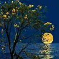 C50ea16e9a344daf800aa0653779f0e7653080e9