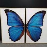 B7d638ec61feb26dd0f98d0d4e93d94c843b7a37