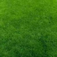 500d9f62dbf0d7f1ae95f4a792866baca387c710