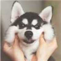 1e399f4845ab94aa012b0abbe980314b4e7644c1