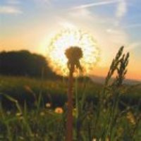 8acd0b658d10e189a6bf18ae68ce5ba45cca4d6b