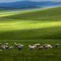 B8c43254e2952d1aa66a962e29d0229c11d90edd