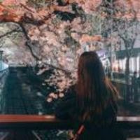 86723772afebe9cc192f64a650504cce77682d85