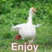 9eaaf531a27544f624dacf90221aaf24d2496171