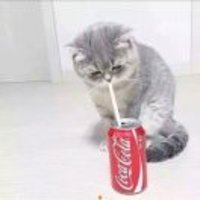 24e08cdc91706e84a78d316612c54c6f9e5c33fb