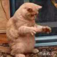 7b42233fa5237e37d1e5025d1e2892f6902d2c5d