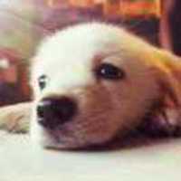 922513be5f0181f1c4e979f0c59482c827bb8d08