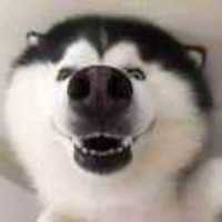 F094c2a15e76960b15c0211e12295eb6f680f242