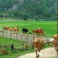 F0d589090f8b70758294528ca0754939aaf4d152