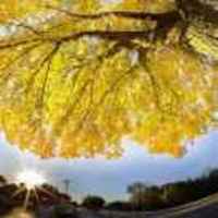 987031bed07ba8a778a993acd652ad02f26d8119