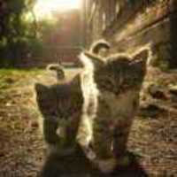 Dea10908206250b6b404911249b9d48ce2848b97