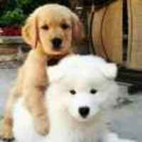 Effcea82bd473637c2f9b18b74ea14bba58a007a