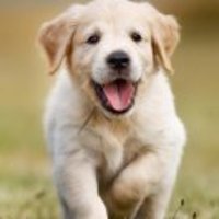 07fbb40c6e77f9957d56002dc155abc0da3f92ff