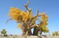 D7bf1dcd58d53d20c2c877203476de6ecdfadc9a