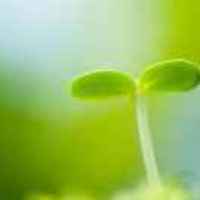 1c62125f69fd6a135cd00ae346d234cd75677ab7