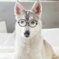 Cd60850521f9946573d6e4da40d4499ce80c93f8